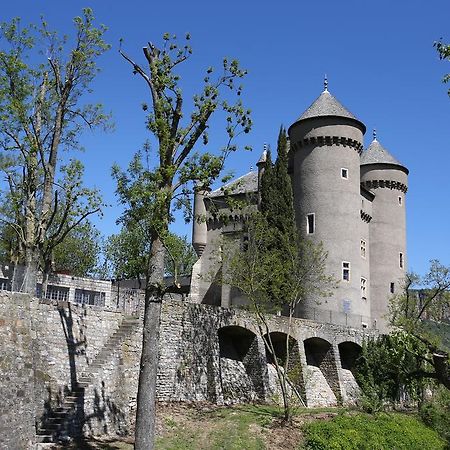 Chateau De Lugagnac Rivière-sur-Tarn 외부 사진