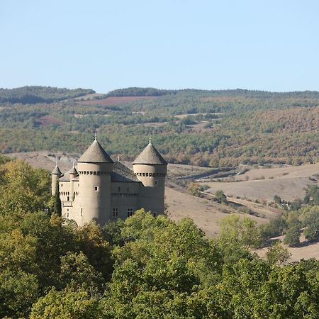 Chateau De Lugagnac Rivière-sur-Tarn 외부 사진