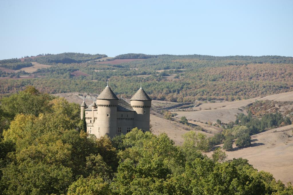 Chateau De Lugagnac Rivière-sur-Tarn 외부 사진