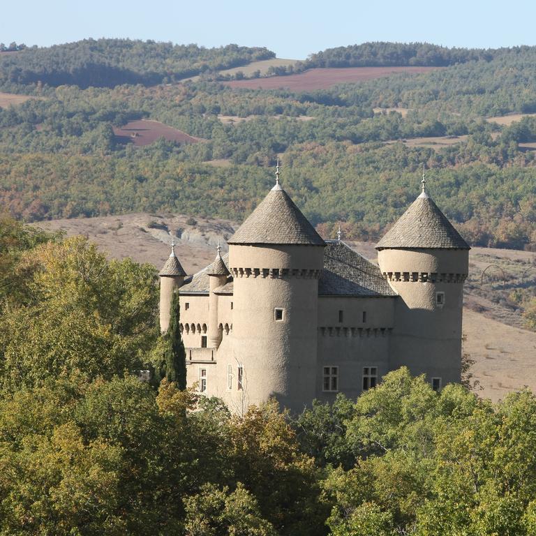 Chateau De Lugagnac Rivière-sur-Tarn 외부 사진